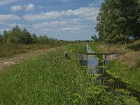 NL, Noord-Brabant, Asten, Eeuwelsche Loop 1, Saxifraga-Marijke Verhagen